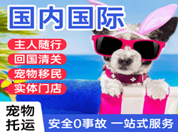 长沙黄花航空物流国际宠物托运 【国